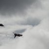 Aviation